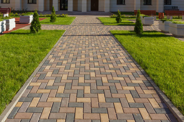 Best Local Driveway Pavers  in Plainwell, MI
